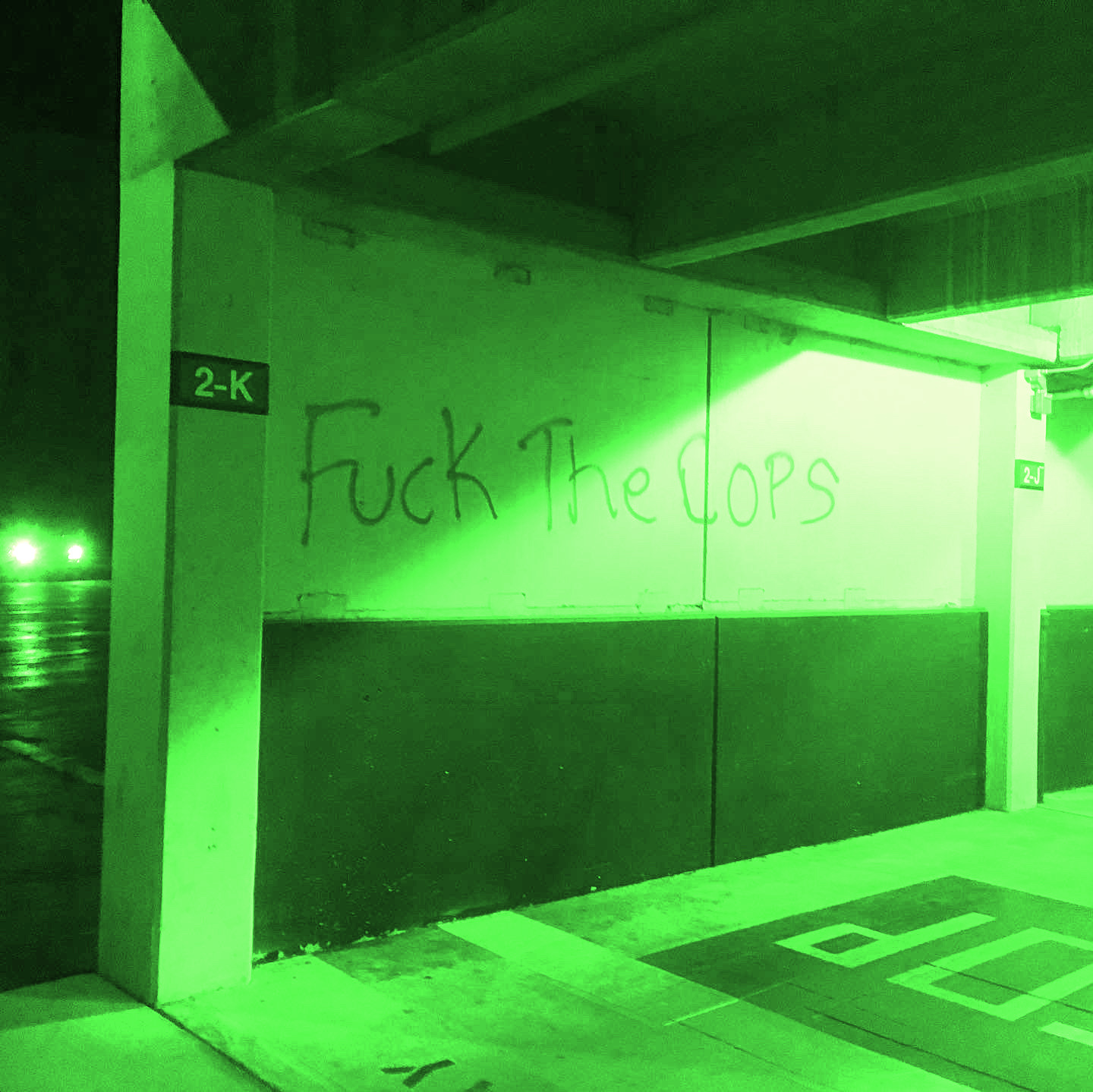 On The Police And The Murder of Richard Lee Richards