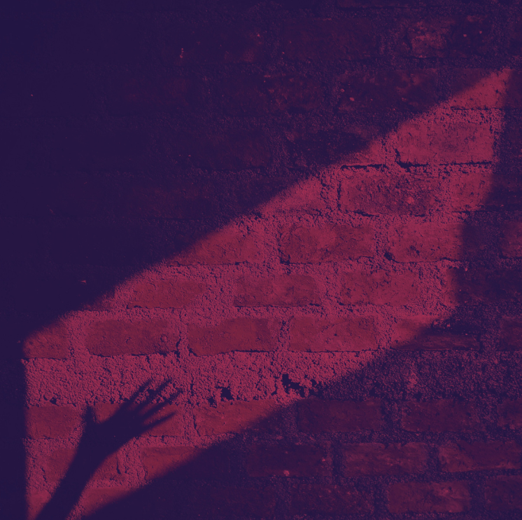 Fake Progressives; Real Crises